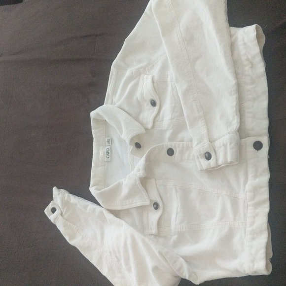 Cato Jackets & Blazers - Women's Corduroy Crop Jacket